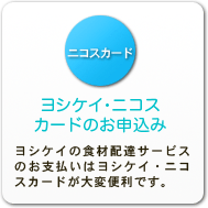 �襷����VISA������